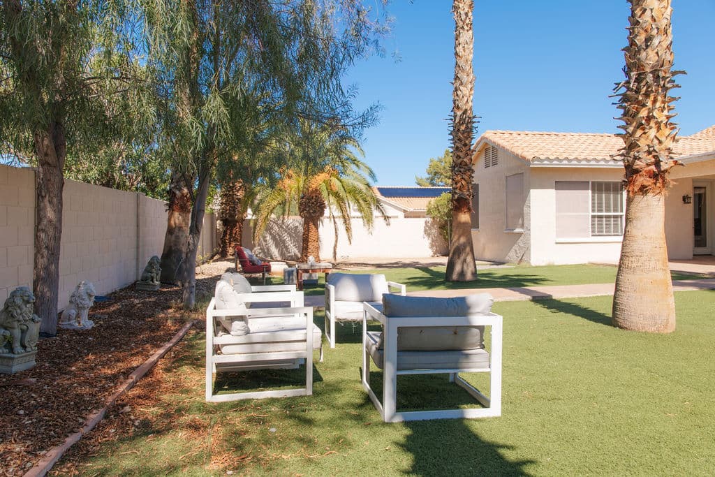 White outdoor lounge chairs gathered on the lawn beneath tall palms in the backyard.